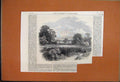 Original Old Antique Print 1865 Maroon Town Blue Mountains Jamaica Victorian