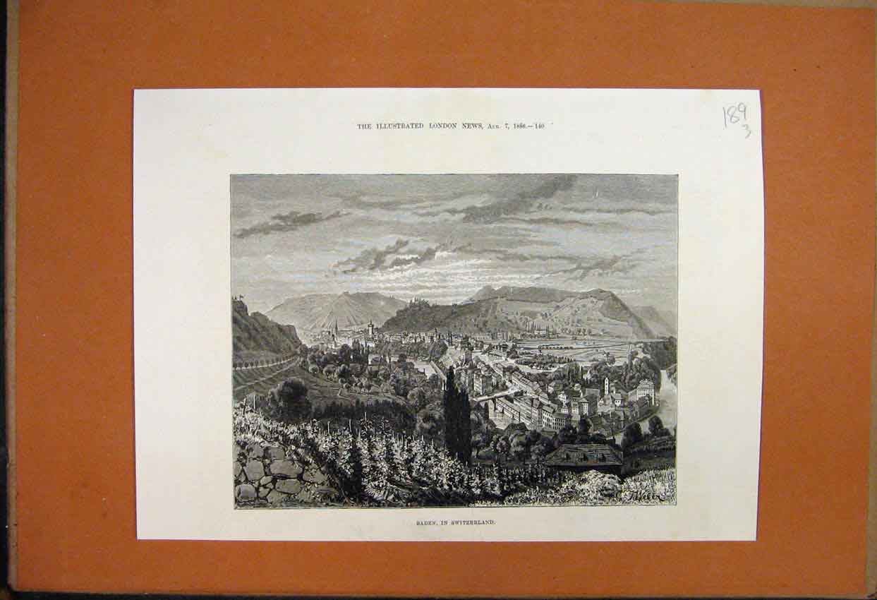 Original Old Antique Print 1887 Prescription Winner Thoroughbred Show Brentnall