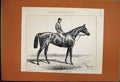 Original Old Antique Print 1886 Sale Blenheim China Christies Auction Rare Vases