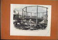 Original Old Antique Print 1865 Naval Boat Race Cork Harbour Water Buildings