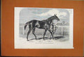 Original Old Antique Print 1861 Statue Lord Elcho Doncaster Cup Rifle Battalion