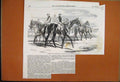 Original Old Antique Print 1869 Amazing Fireworks Display Crystal Palace 19th