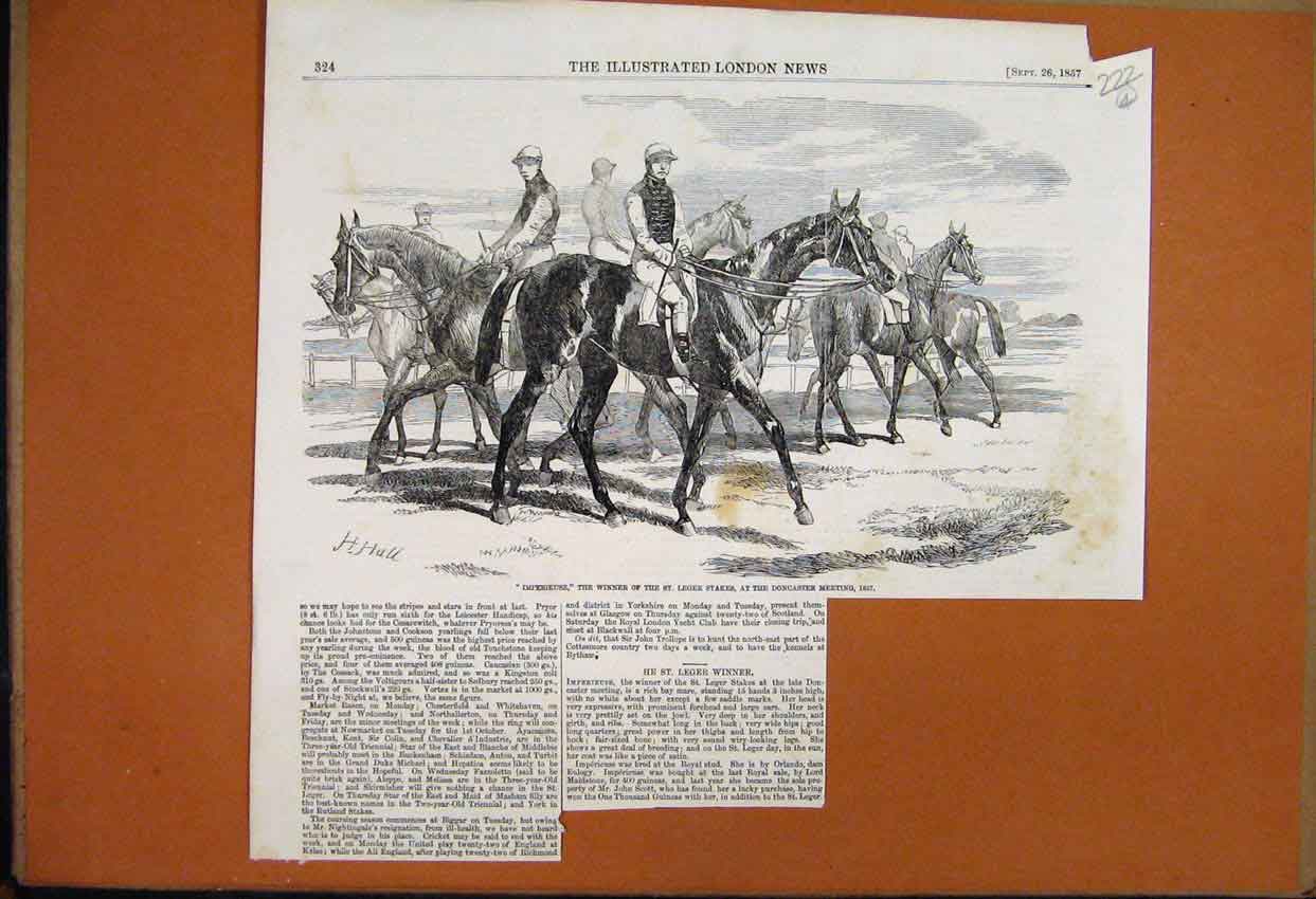Original Old Antique Print 1869 Amazing Fireworks Display Crystal Palace 19th