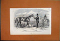 Original Old Antique Print 1861 Disturbance Warsaw Slaughter Viceregal Castle