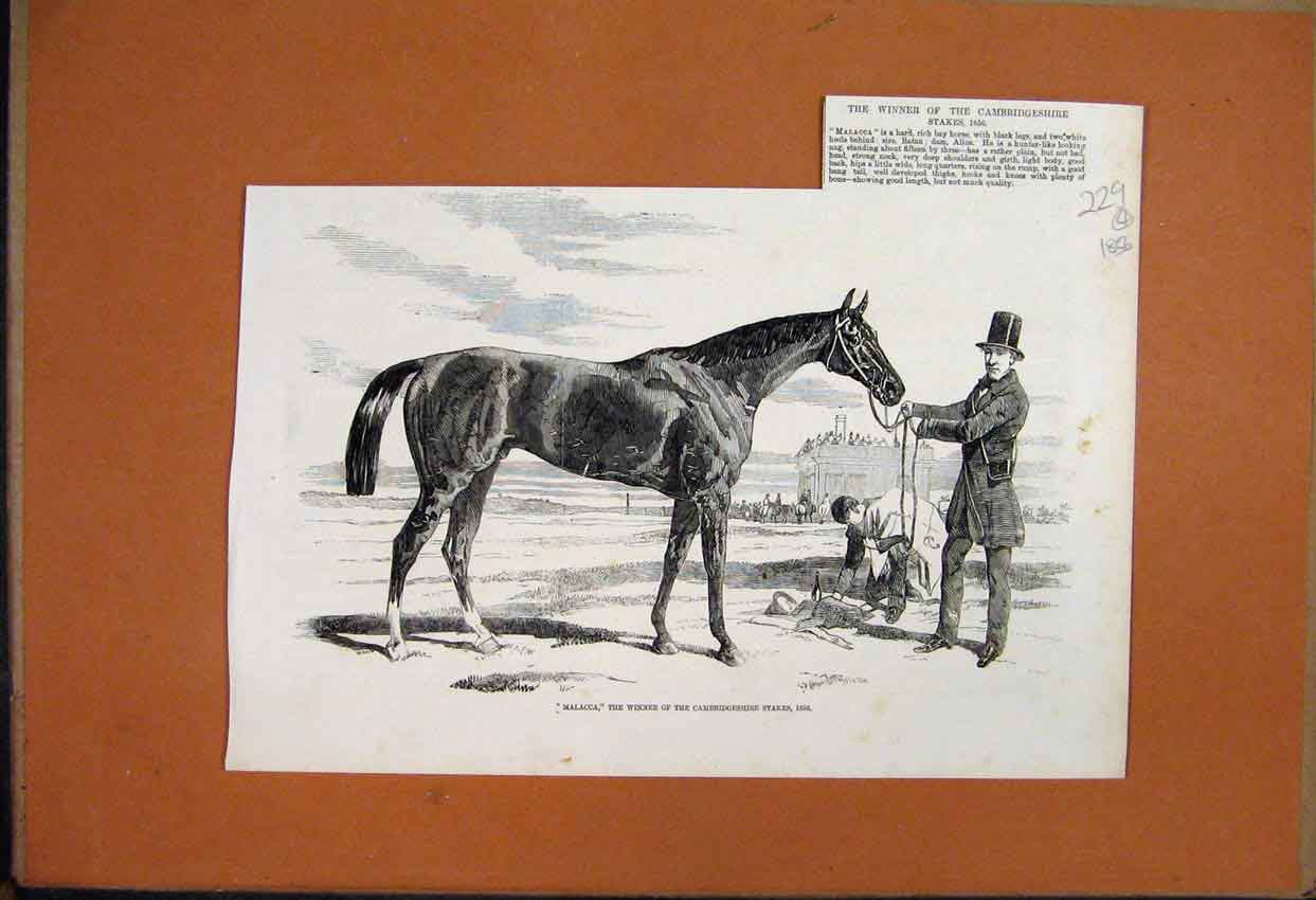 Original Old Antique Print 1856 Stolen Painting Le Raboteur Caracci Earl Suffolk