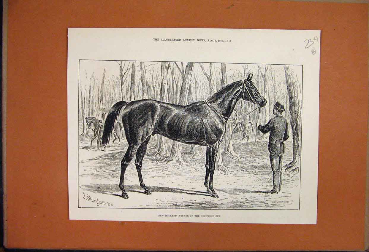 Original Old Antique Print 1859 The War Bridge Over River Po Turin Horses 19th