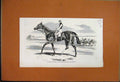 Original Old Antique Print 1857 Henry Tombs Begal Artillery William Ouseley 19th