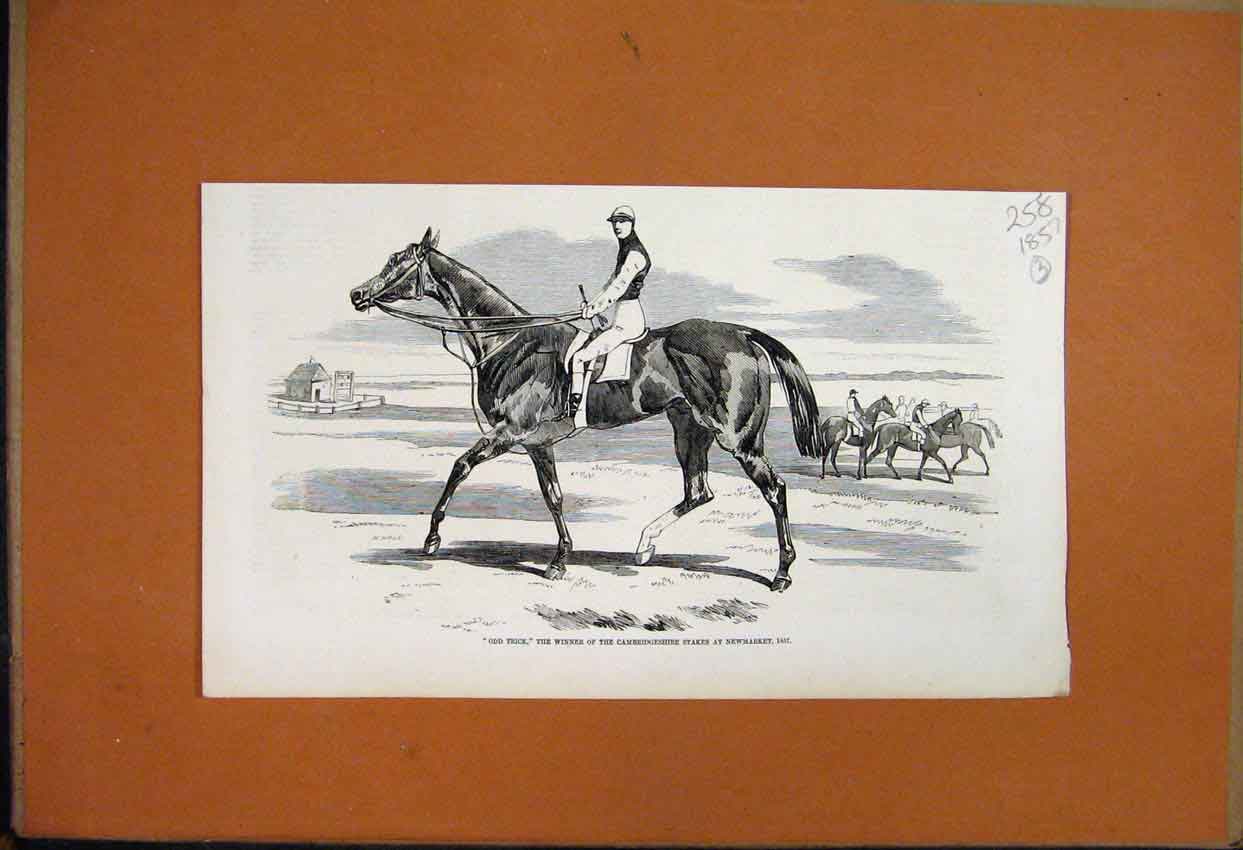 Original Old Antique Print 1857 Henry Tombs Begal Artillery William Ouseley 19th