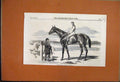 Original Old Antique Print 1857 Celebrated Racehorse Fisherman Jockey Victorian