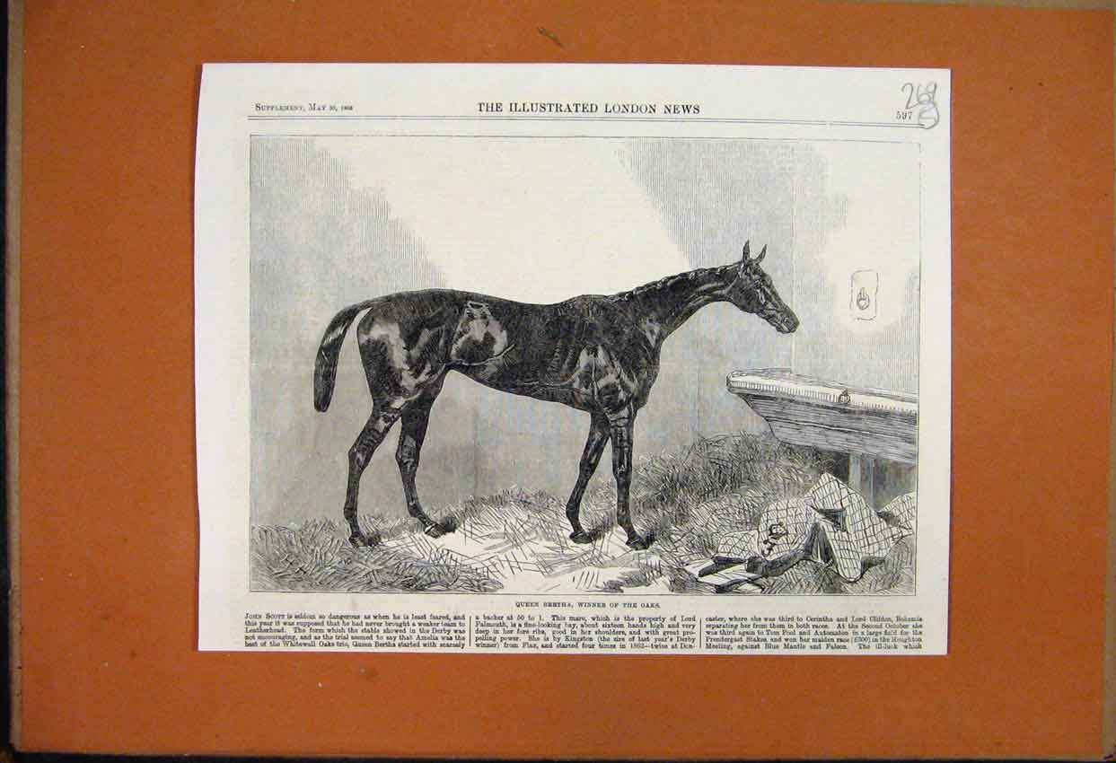 Original Old Antique Print 1863 Queen Bertha Winner Oaks Horse Stable Blanket
