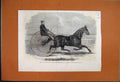 Original Old Antique Print 1861 Jackey Winner Aintree Trotting Race Liverpool
