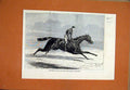 Original Old Antique Print 1874 Aventuriere Winner Cesarewitch Stakes Newmarket
