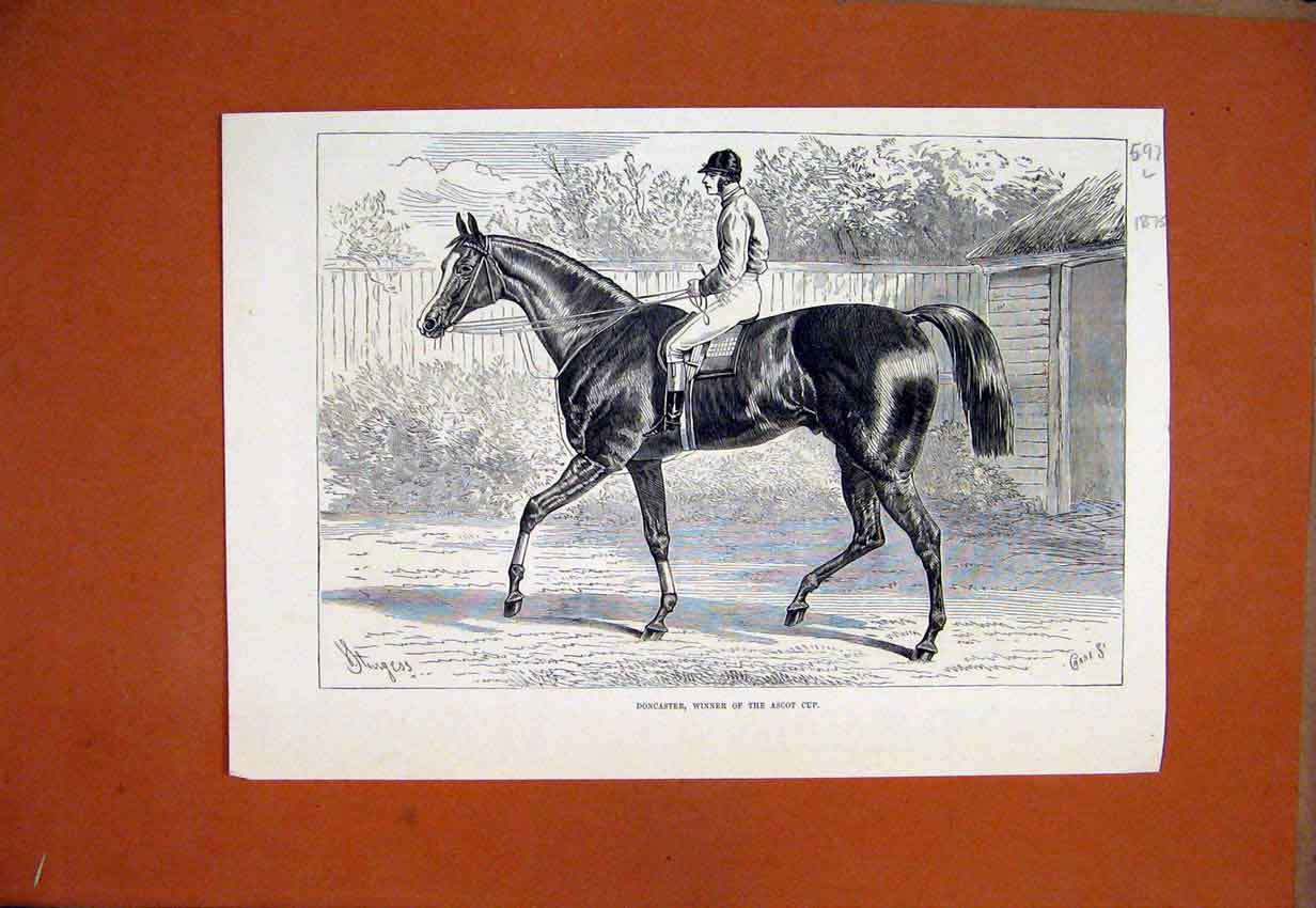 Original Old Antique Print 1875 Horse Doncaster Winner Ascot Cup 19th