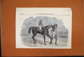 Original Old Antique Print Landgrave Horse Winner Cambridgeshire Newmarket 1850