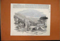 Original Old Antique Print 1850 Glen Tilt Marble Lodge Mountain Scene Victorian