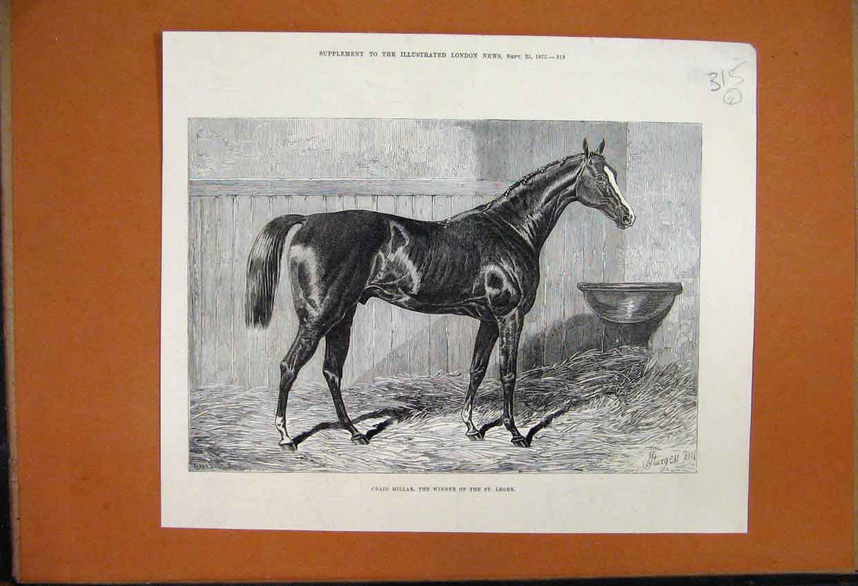Original Old Antique Print 1875 Craig Millar Horse Winner Leger 19th