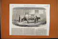Original Old Antique Print 1862 Australian Ox Tooran Man Animals 19th