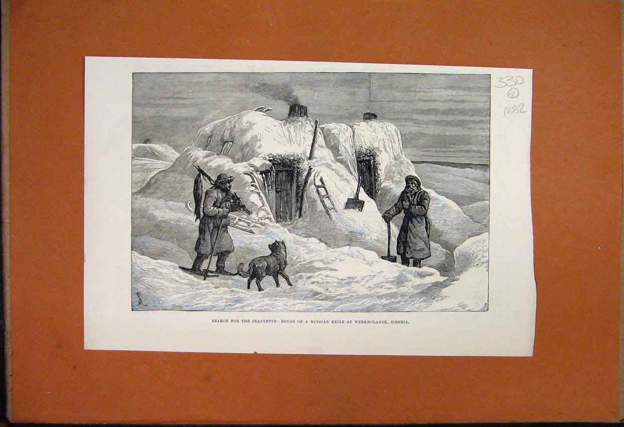 Original Old Antique Print Search Jeannette House Russian Exile Siberia Dog 1882