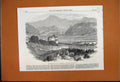 Original Old Antique Print 1866 Cemetry Racecourse Honk Kong Mountain Scene 19th