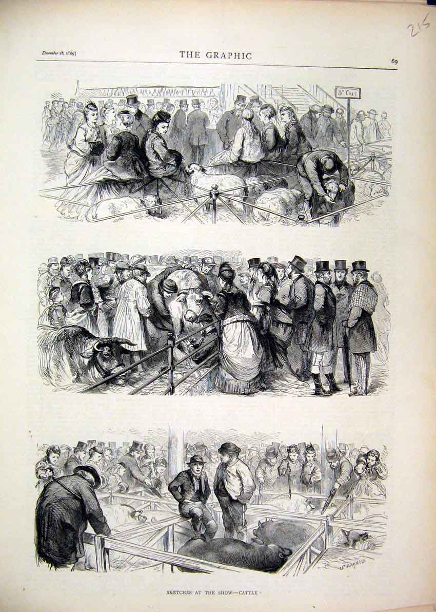 Original Old Antique Print 1869 Sketches Cattle Show Sheep Pigs Farm Animals