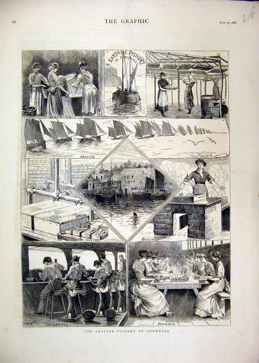 Original Old Antique Print Sardine Fishery Cornwall 1880 Packing Oiling Drying