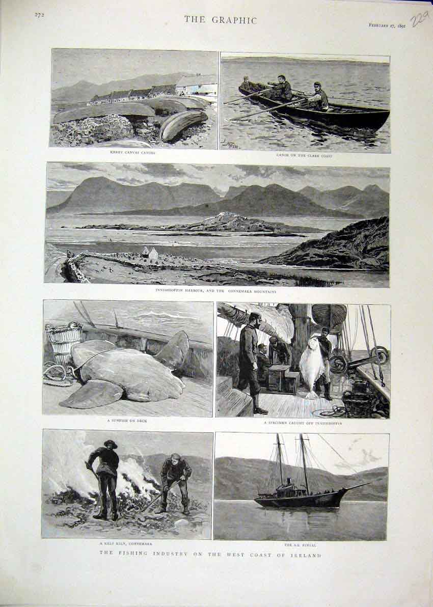 Original Old Antique Print 1892 Fishing Industry West Coast Ireland Kerry Canoes