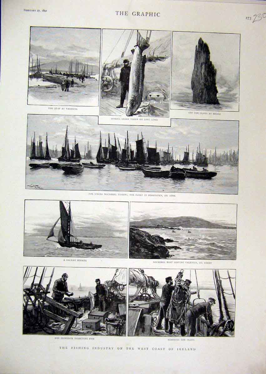 Original Old Antique Print 1892 Fishing Industry Ireland Cliffs Moher Valencia