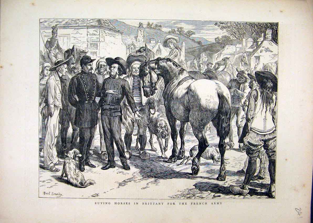 Original Old Antique Print 1871 Buying Horses Brittany French Army Street Scene