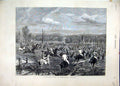 Original Old Antique Print 1880 Driving Kangaroo Hunt Australia Horses Victorian