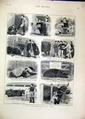 Original Old Antique Print 1880 Smithfield Club Cattle Show Pig Sheep Artist