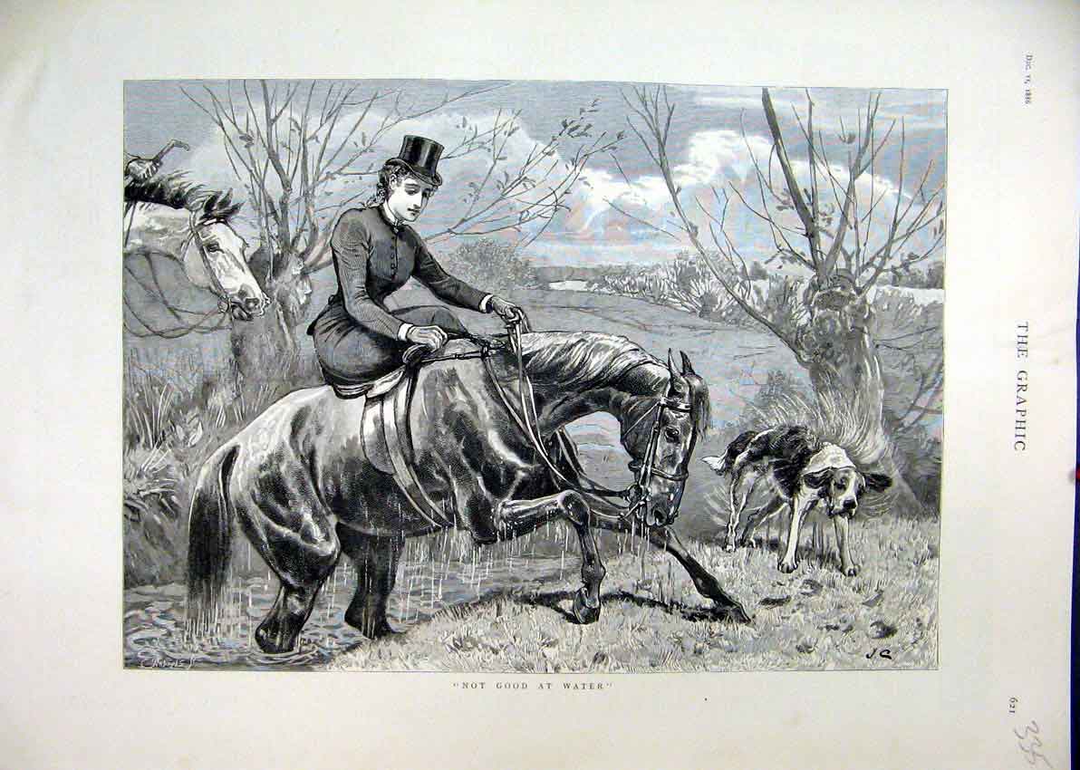 Original Old Antique Print 1886 Horse Woman Rider Water Wet Dog Shaking 19th