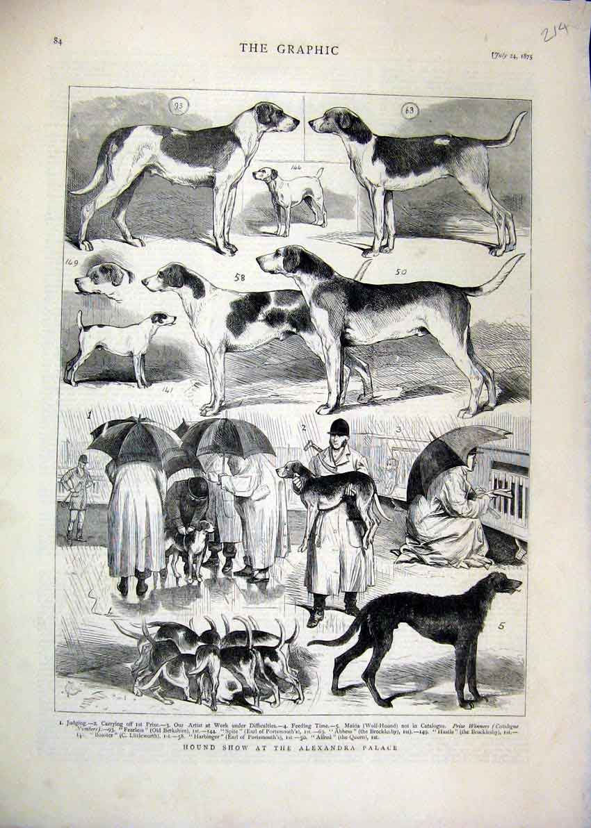 Original Old Antique Print 1875 Dog Hound Show Alexandra Palace Feeding 19th