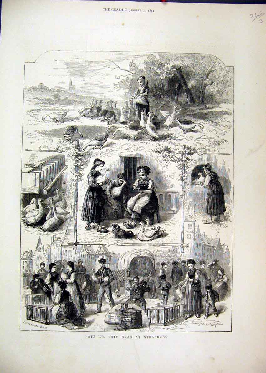 Original Old Antique Print 1872 Strasburg Boy Feeding Geese Selling Street Scene