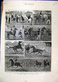 Original Old Antique Print Trotting Match Alexandra Palace 1879 Horse Racing