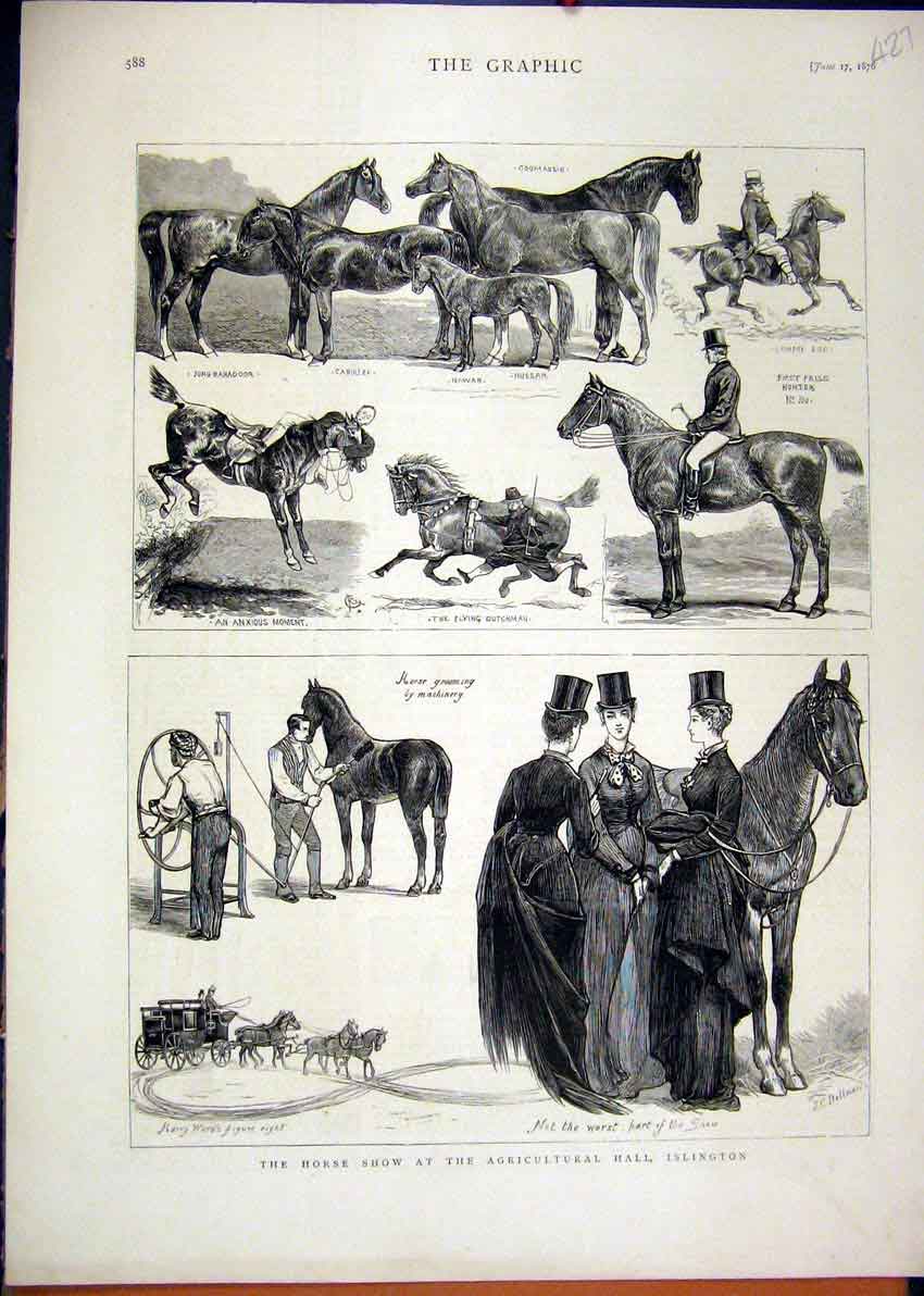 Original Old Antique Print Horse Show Agricultural 1876 Islington Horse Grooming