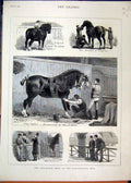 Original Old Antique Print Cart-Horse Show 1880 Agricultural Hall Judging 19th