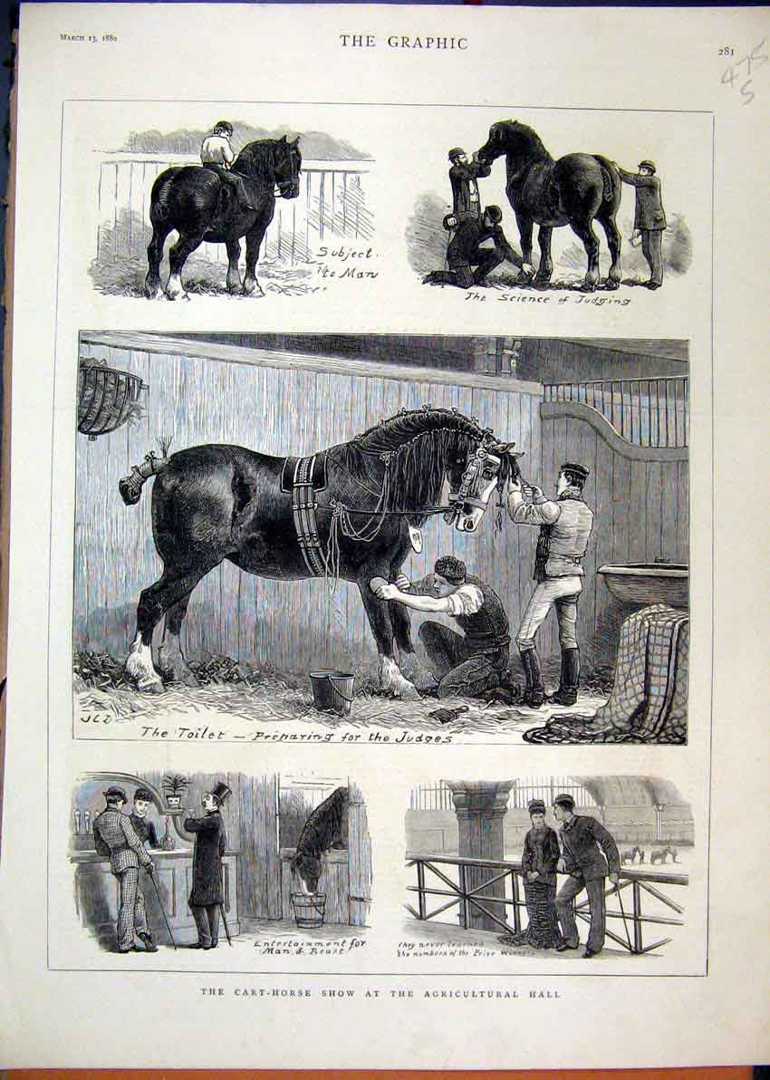 Original Old Antique Print Cart-Horse Show 1880 Agricultural Hall Judging 19th