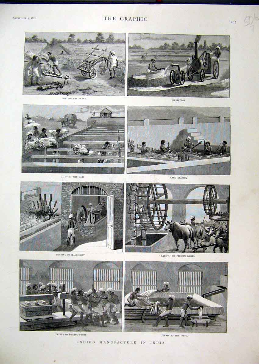 Old Antique Print 1887 Indigo Manufacture India Plant Cutting Vats Rahut 19th