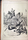 Original Old Antique Print Horses Jumping Fence 1880 Falling Fefusing Country