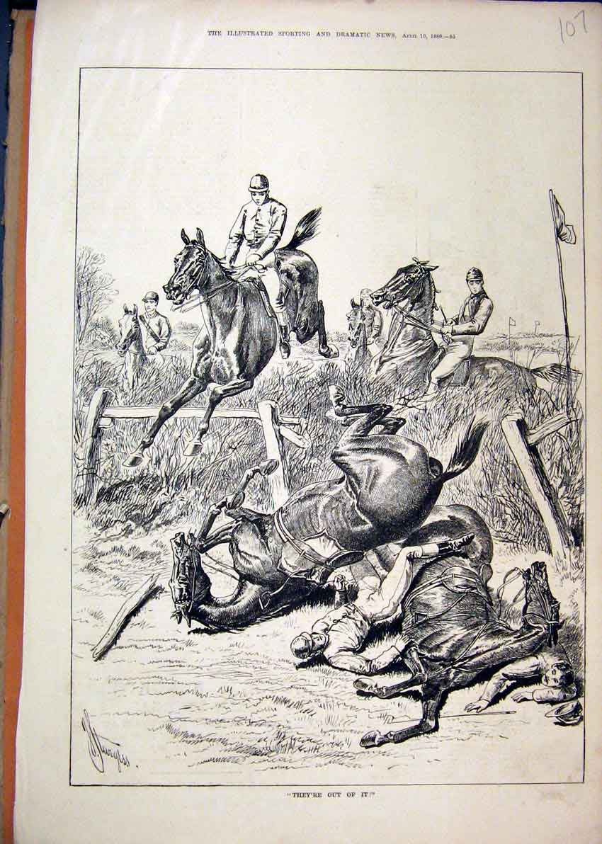 Original Old Antique Print Horses Jumping Fence 1880 Falling Fefusing Country