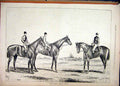 Original Old Antique Print 1878 American Horses Bombast Parole Gloverbrook 19th