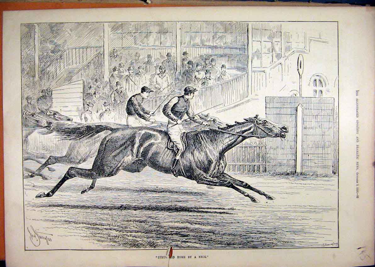 Original Old Antique Print Horse Racing Close Finish 1886 Winner Neck Victorian