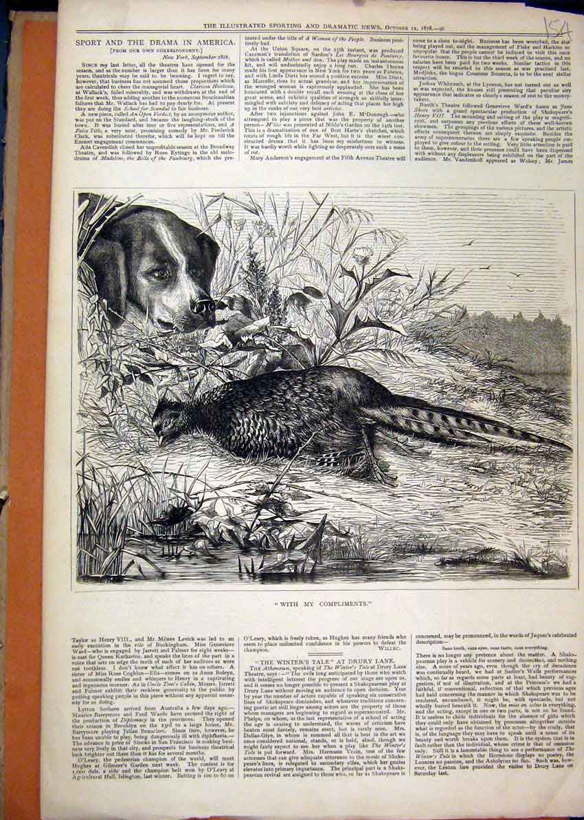 Original Old Antique Print Dog Dead Grouse River 1878 Country Scene Hunting 19th