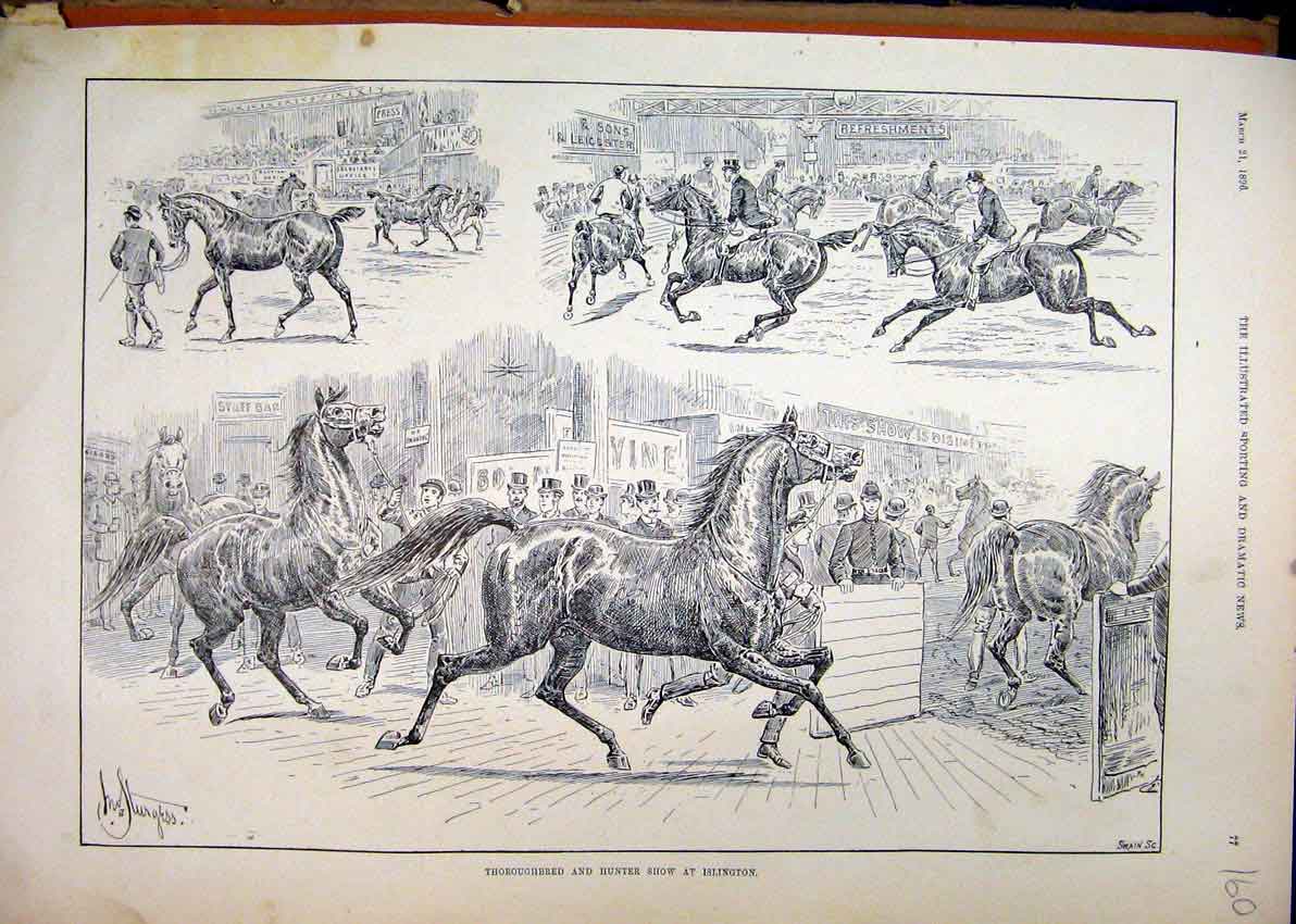 Old Antique Print Thoroughbred Hunter Show Islington 1896 Horse Trotting 19th