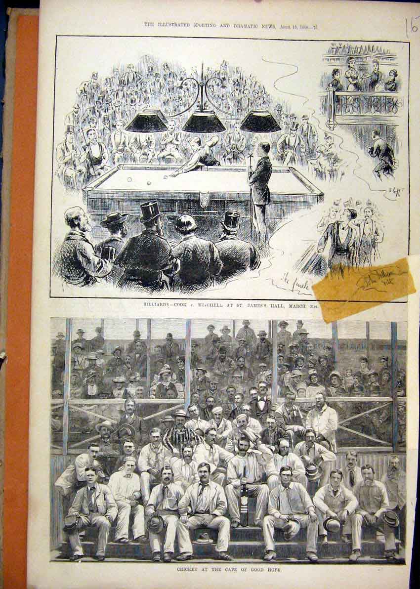 Old Antique Print 1880 Billiards James Hall Cricket Cape Good Hope Sport 19th