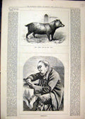 Original Old Antique Print 1879 Bush Dog Zoo Portrait Man Thoughtfull Victorian