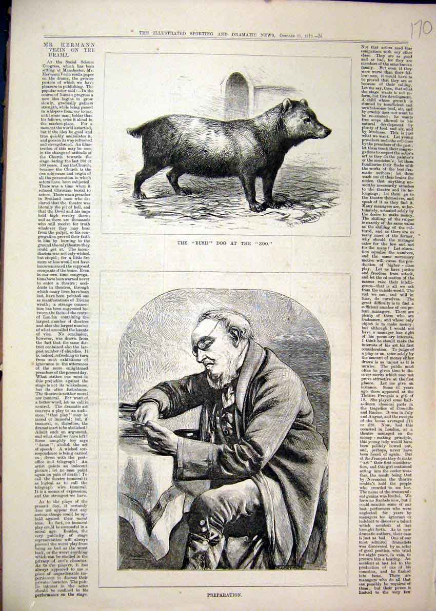 Original Old Antique Print 1879 Bush Dog Zoo Portrait Man Thoughtfull Victorian