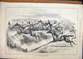 Original Old Antique Print 1884 Grand National Steeplechase Horses Jumping 19th