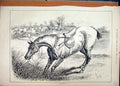 Original Old Antique Print Horse Rider Fallen 1880 Jumping Country Scene 19th