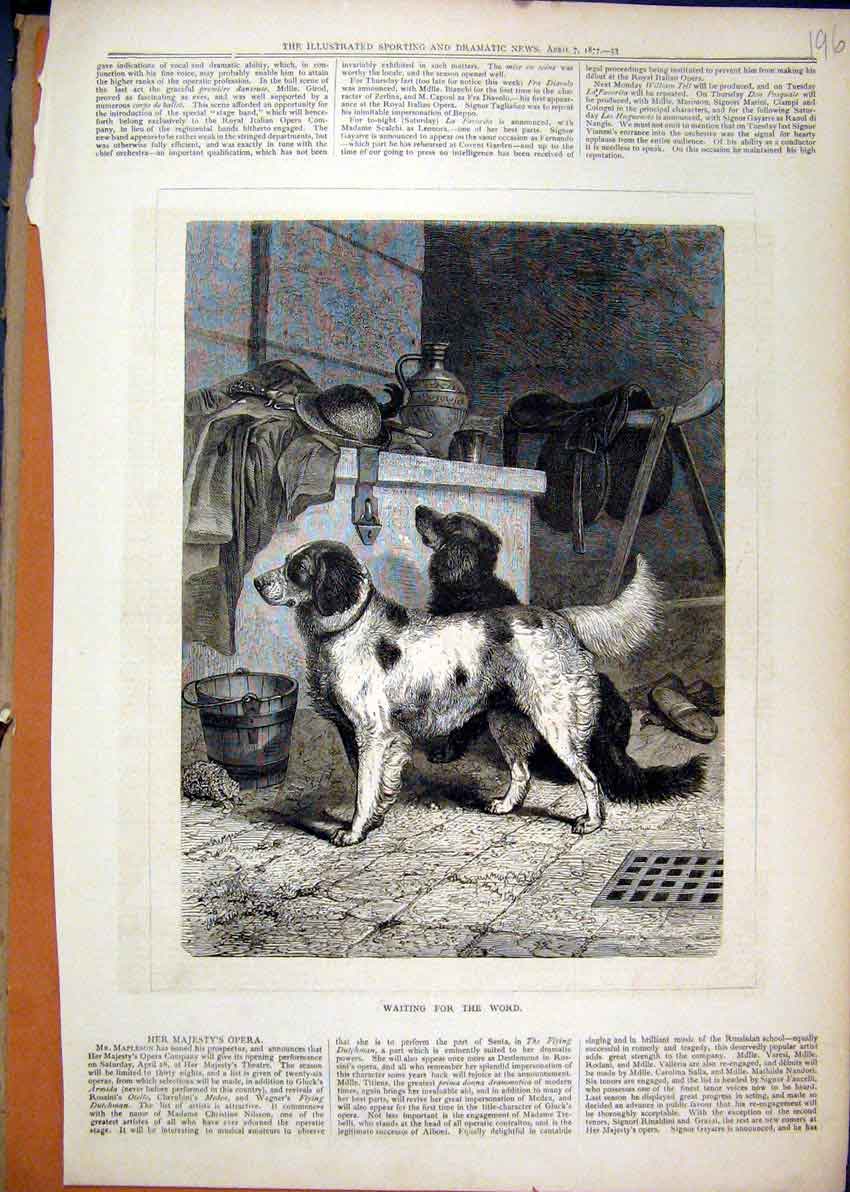Original Old Antique Print Dogs Stable 1877 Bucket Horse Saddle Brush Victorian